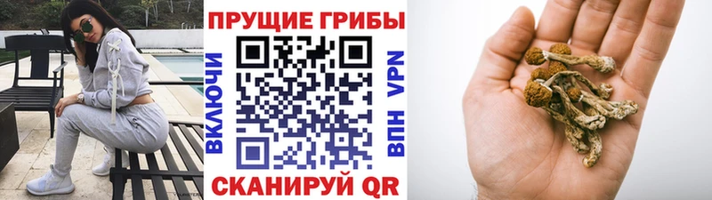 hydra tor  Лакинск  Галлюциногенные грибы мицелий 